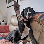 High four!