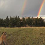 Rainbow Bridge