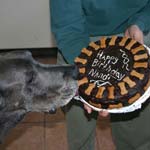 11th birthday party