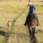Happy trails